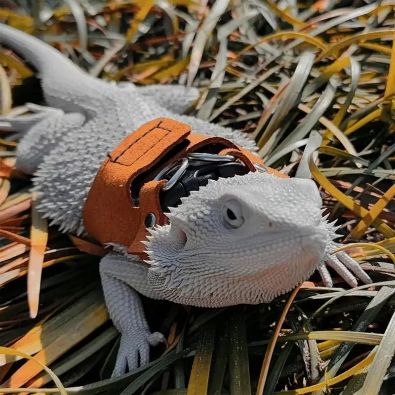 Reptile Harness Adjustable PU Leather Harness With Traction Rope Small Animal Training Walking Vest 3X Harnesses For Walking
Reptile Harness Adjustable PU Leather Harness With Traction Rope Small Animal Training Walking Vest 3X Harnesses For Walking