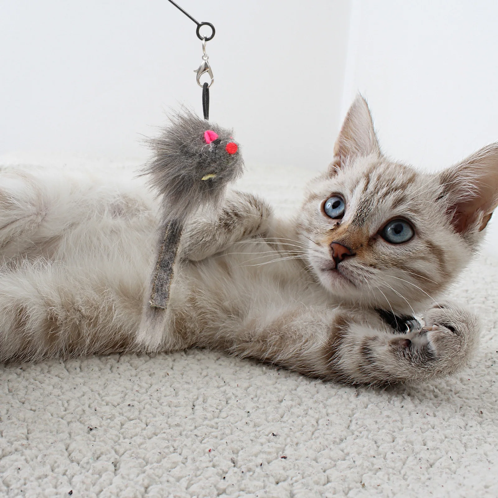 Cat Teaser Safe Pet Accessory Pet Accessory Kitten Toy H Sucker Cat Teaser held Household Sucker Steel WirePet Supplies
Cat Teaser Safe Pet Accessory Pet Accessory Kitten Toy H Sucker Cat Teaser held Household Sucker Steel WirePet Supplies
