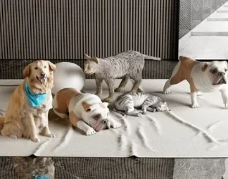 Латунные защитные колпаки (C-образные) для переднего и заднего мостов для Hyper GO MJX H12Y H12+ – Металлические детали для тюнинга радиоуправляемых краулеров, грузовиков и багги
Латунные защитные колпаки (C-образные) для переднего и заднего мостов для Hyper GO MJX H12Y H12+ – Металлические детали для тюнинга радиоуправляемых краулеров, грузовиков и багги