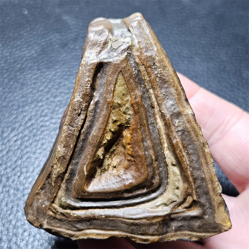 Natural Alxa Gobi Stone Mineral Specimen for Home Decoration the Door of Time and Space Pattern
Natural Alxa Gobi Stone Mineral Specimen for Home Decoration the Door of Time and Space Pattern