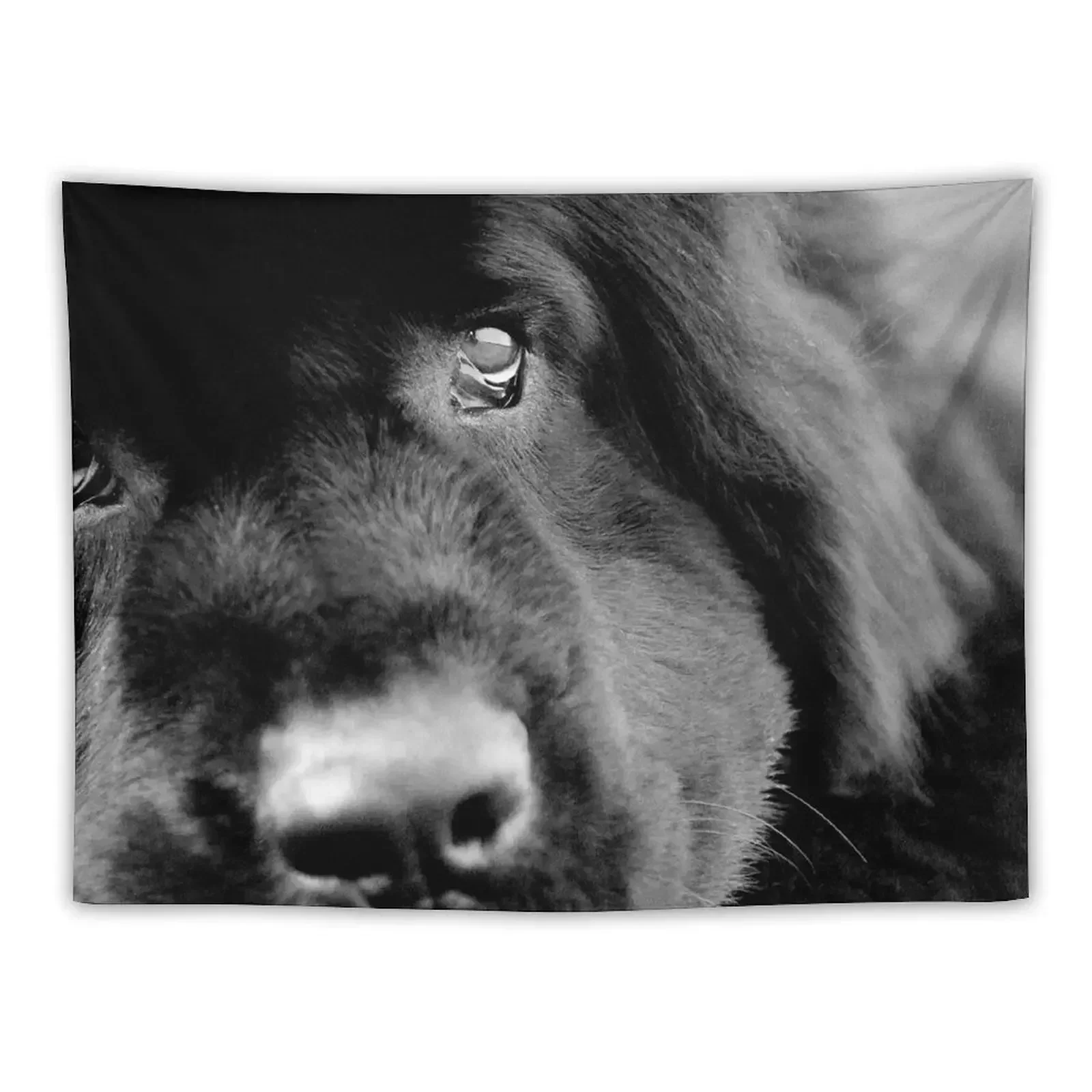 Macie Tapestry Aesthetic Decoration Art Mural Nordic Home Decor Bedroom Decoration Tapestry
Macie Tapestry Aesthetic Decoration Art Mural Nordic Home Decor Bedroom Decoration Tapestry