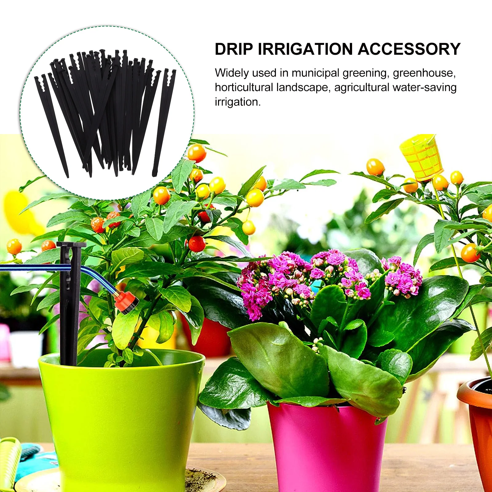 100 PCS Plant Floor Insertion Rod Fixing Frame Hose PE Accessories Garden Black Drip Irrigation Accessory
100 PCS Plant Floor Insertion Rod Fixing Frame Hose PE Accessories Garden Black Drip Irrigation Accessory