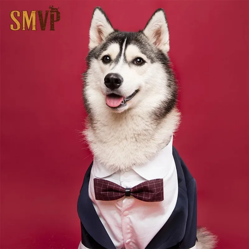 Dog Suit Wedding Pet Black Suit Handsome Photo Gentleman Tuxedo Corgi Shiba Inu Golden Retriever Wedding Photo Clothes
Dog Suit Wedding Pet Black Suit Handsome Photo Gentleman Tuxedo Corgi Shiba Inu Golden Retriever Wedding Photo Clothes