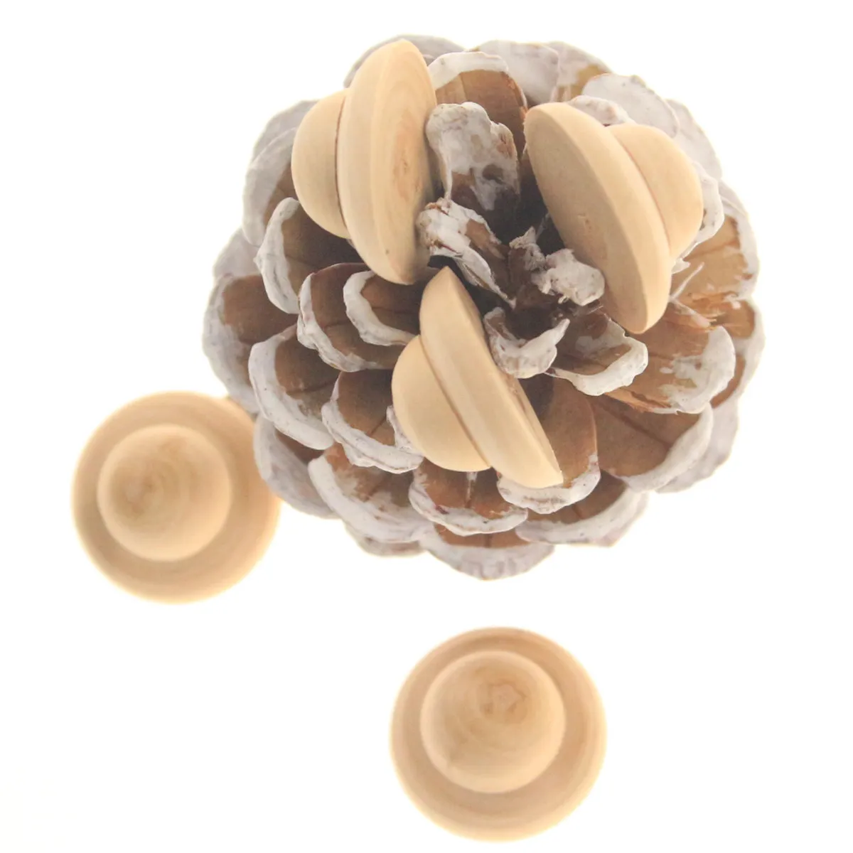 20Pcs Wooden DIY Unfinished Round Cookie Bead Ornament Craft Kit Solid Natural Wood Smooth Ready to Paint Draw Drill String
20Pcs Wooden DIY Unfinished Round Cookie Bead Ornament Craft Kit Solid Natural Wood Smooth Ready to Paint Draw Drill String