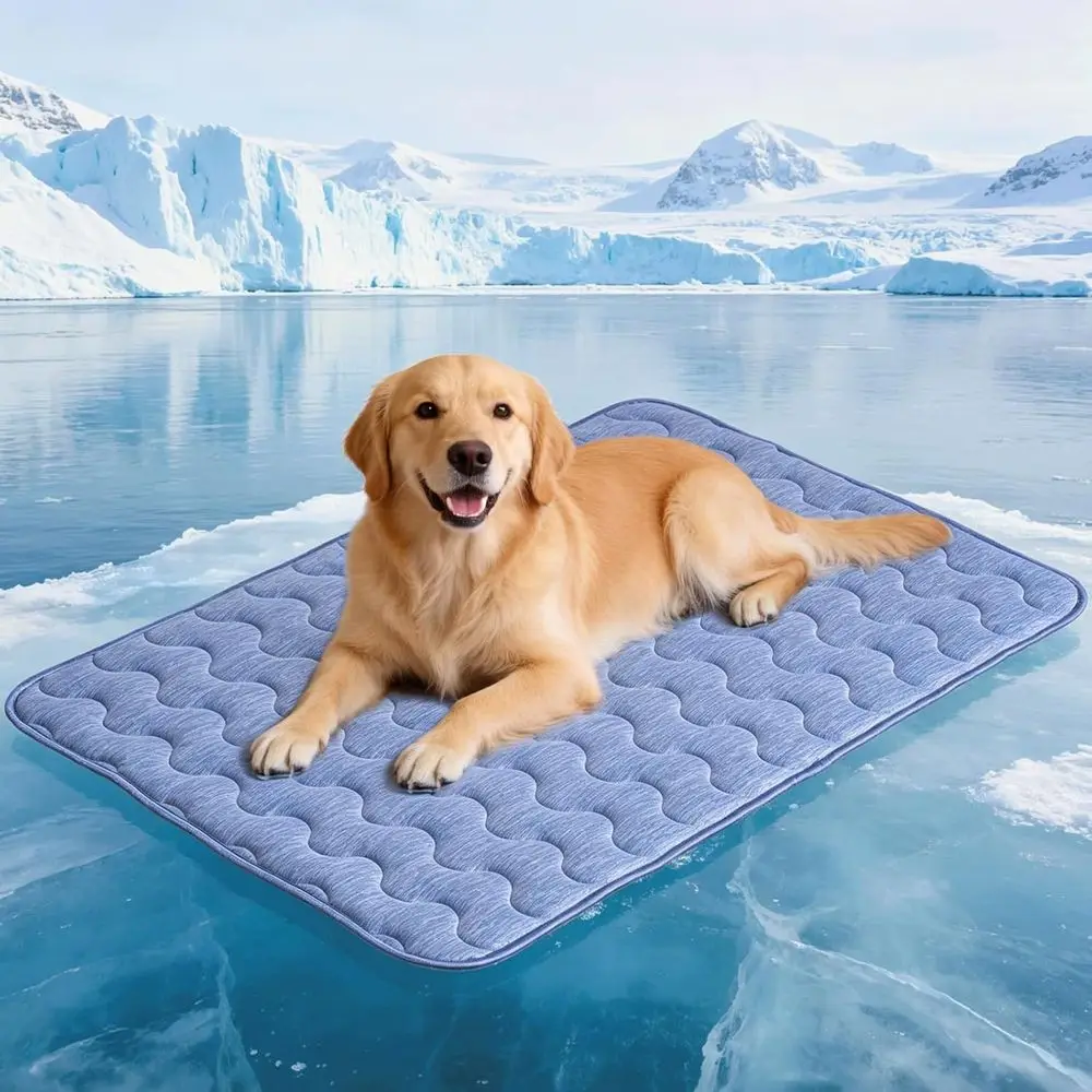 Thick & Durable 39x28 Double-Sided Cooling Mat for Large Dogs, Washable & Portable, Ideal for Couch, Crate & Car - Large Size
Thick & Durable 39x28 Double-Sided Cooling Mat for Large Dogs, Washable & Portable, Ideal for Couch, Crate & Car - Large Size