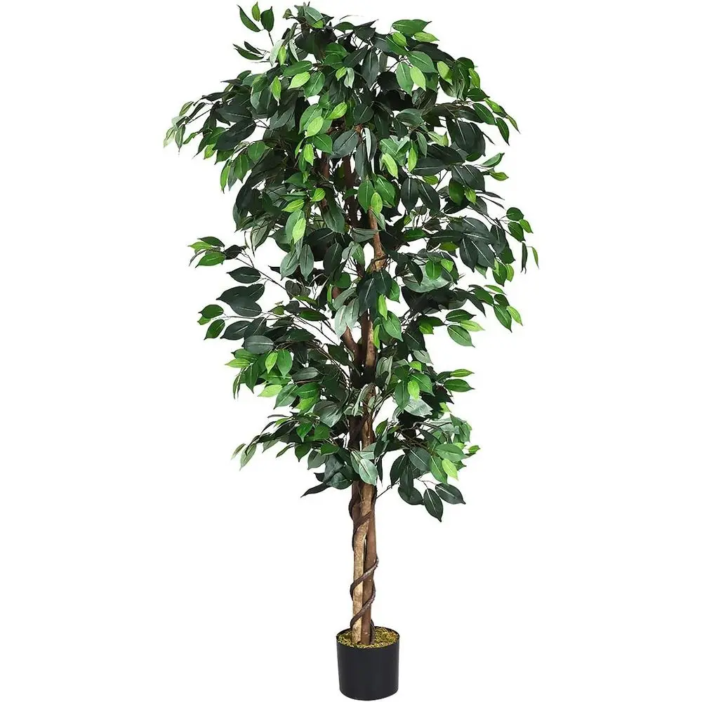 6-Foot Artificial Silk Tree with Green Leaves and Natural Trunk, Low Maintenance, Suitable for Indoor or Outdoor Decor
6-Foot Artificial Silk Tree with Green Leaves and Natural Trunk, Low Maintenance, Suitable for Indoor or Outdoor Decor