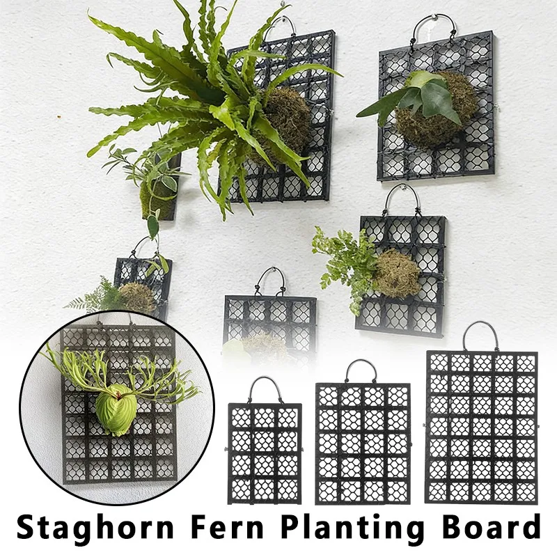 Plastic Staghorn Fern Planting Board Wall Mount Gardening Fern Hanging Board Thickened Staghorn Fern Board Garden Decor
Plastic Staghorn Fern Planting Board Wall Mount Gardening Fern Hanging Board Thickened Staghorn Fern Board Garden Decor