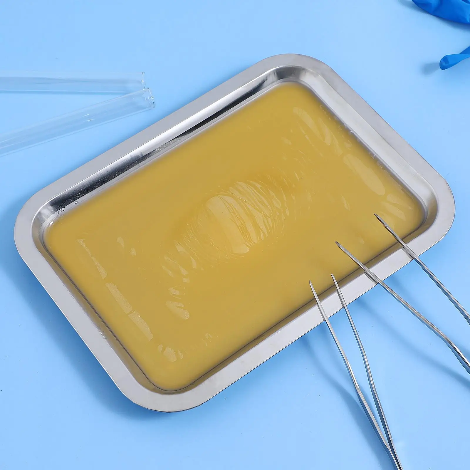 6 Pcs Anatomical Dish Wax Tray Metal Dissecting Dissection Plate Advanced Stainless Steel
6 Pcs Anatomical Dish Wax Tray Metal Dissecting Dissection Plate Advanced Stainless Steel