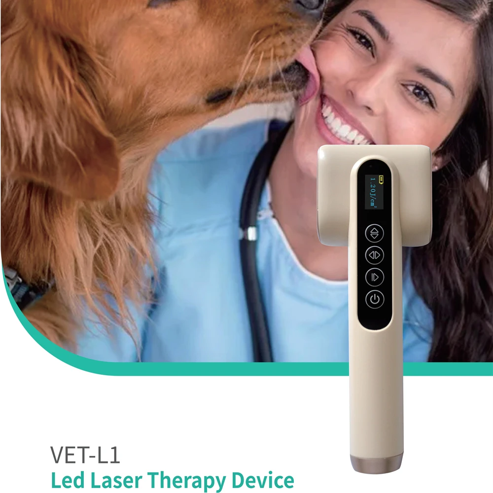 Home Clinic Hospital Use Pet Veterinary Cat Dog Skin Red Blue Led Light Laser Therapy Device
Home Clinic Hospital Use Pet Veterinary Cat Dog Skin Red Blue Led Light Laser Therapy Device