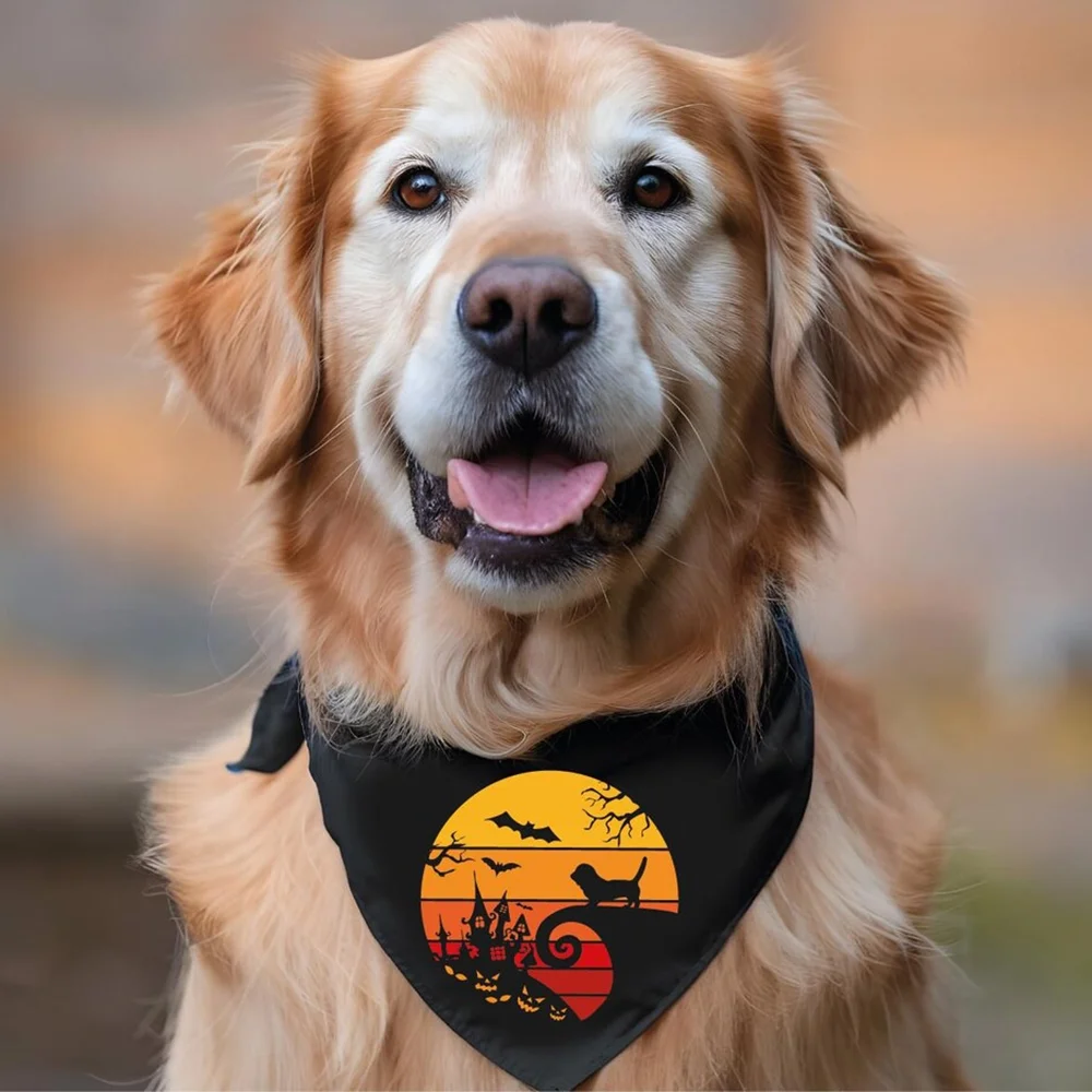 Halloween Pet Bandana 1Pcs Сute Ghost Dog Bandana Dog Lovers Fun Gift Fall Day of The Dead Horror Atmosphere Accessorie Evil Bat
Halloween Pet Bandana 1Pcs Сute Ghost Dog Bandana Dog Lovers Fun Gift Fall Day of The Dead Horror Atmosphere Accessorie Evil Bat
