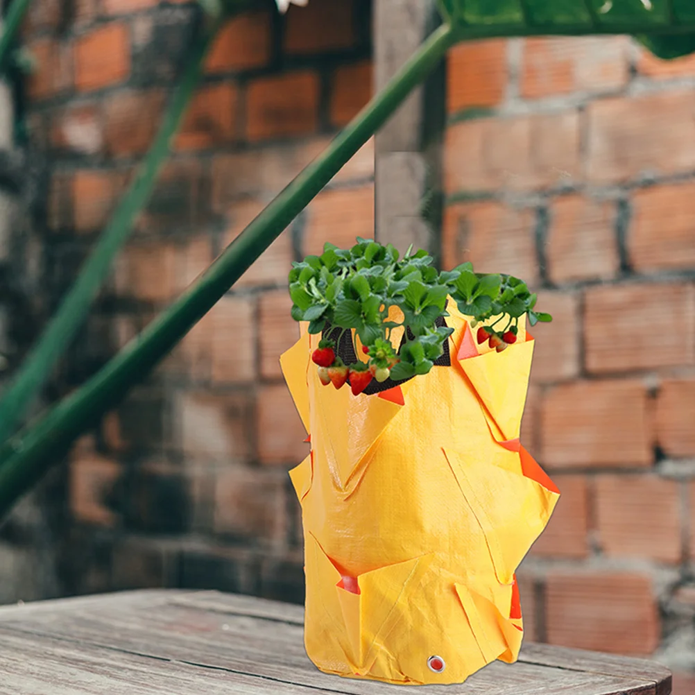 2 Pcs Planting Bags Large Pocket Healthy Roots Gardening Reusable Flower Succulent Vertical Hanging Planter
2 Pcs Planting Bags Large Pocket Healthy Roots Gardening Reusable Flower Succulent Vertical Hanging Planter