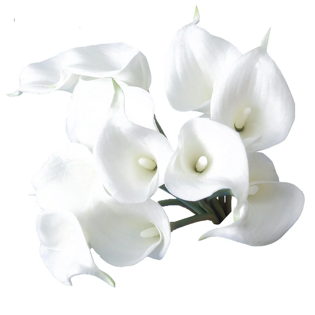 12pcs Artificial Pu Flowers White 35Cm Wedding Bridal Bouquets Home Party Decoration Eco Friendly 5Cm Diameter
12pcs Artificial Pu Flowers White 35Cm Wedding Bridal Bouquets Home Party Decoration Eco Friendly 5Cm Diameter