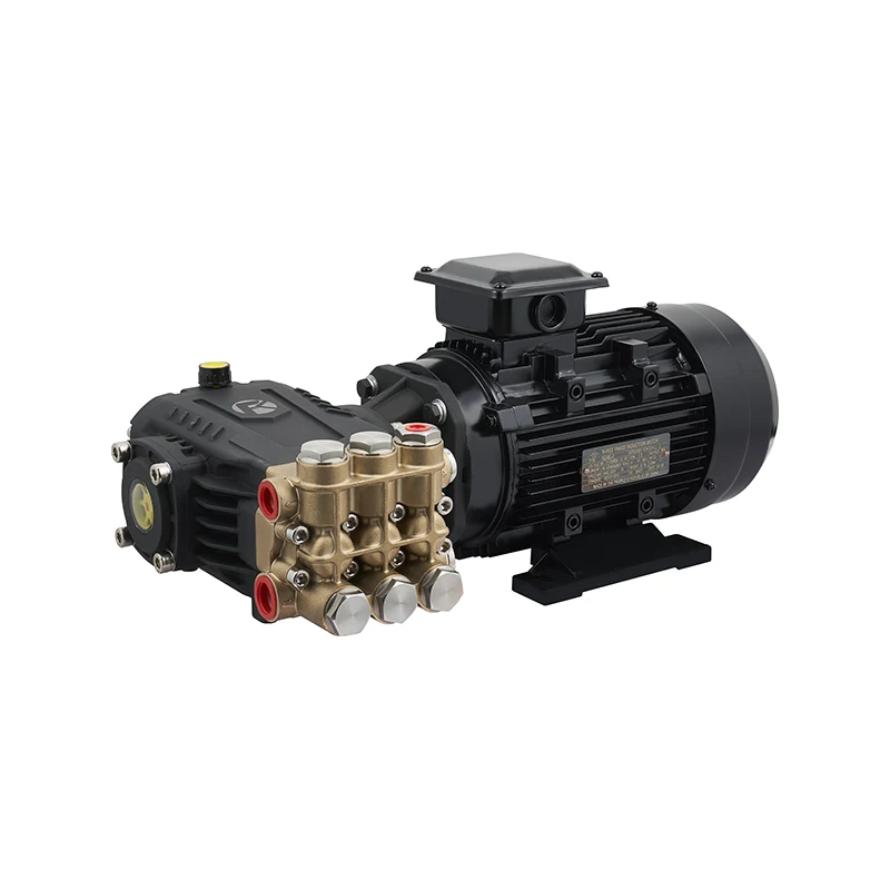 For Feike Electric High Pressure Car Washer Pump With Motor 220V 100 Bar Triplex Plunger With Motor 
For Feike Electric High Pressure Car Washer Pump With Motor 220V 100 Bar Triplex Plunger With Motor