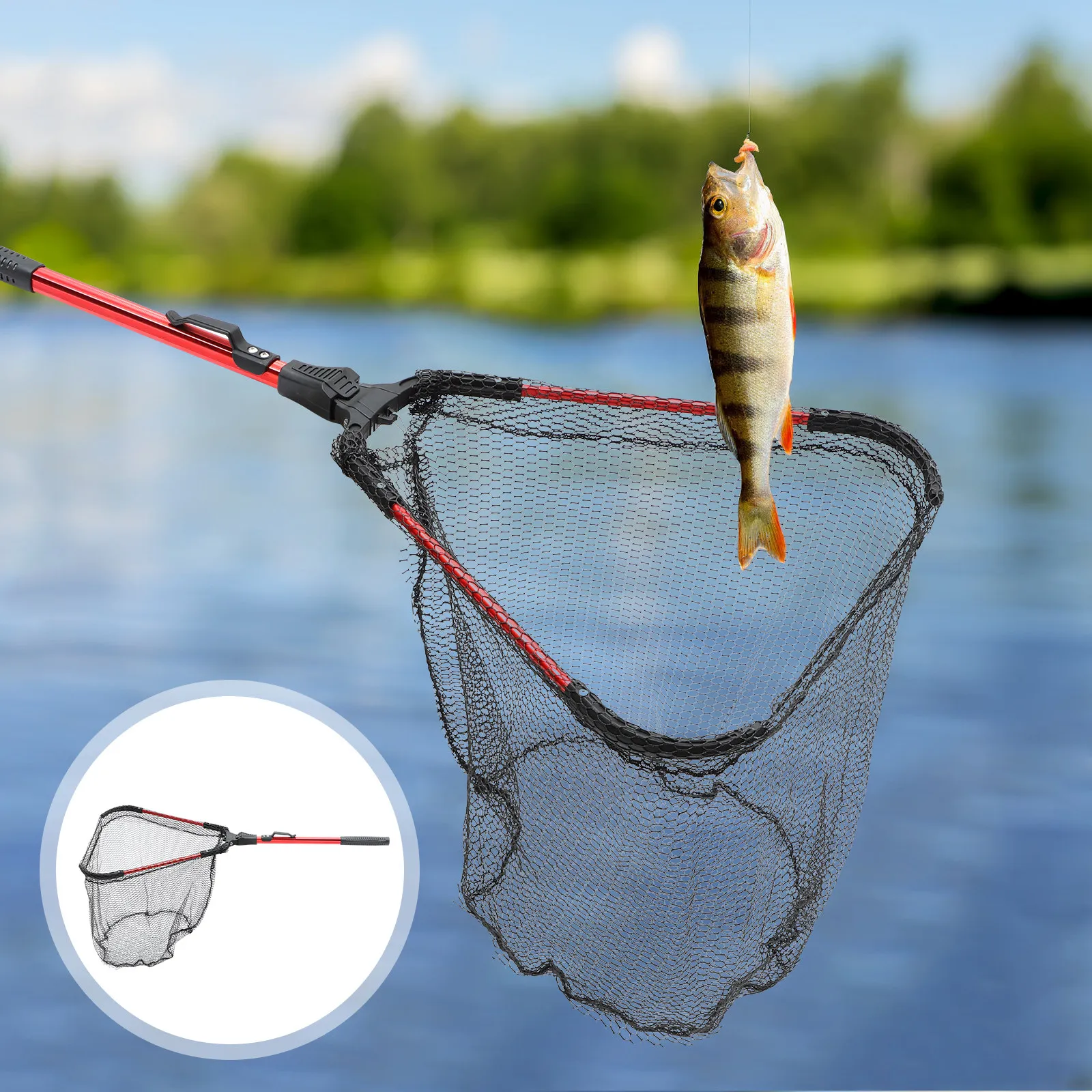 Telescopic Folding Landing Net Sturdy Aluminum Alloy Extendable Fishing Net Compact Lightweight Fish for Shore River
Telescopic Folding Landing Net Sturdy Aluminum Alloy Extendable Fishing Net Compact Lightweight Fish for Shore River