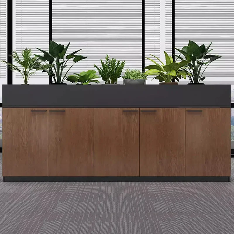 Shelves Stackable Filing Cabinet Compact Stand Organizer Space Office Cupboards Designer Nordic Armoires De Salon Furnitures
Shelves Stackable Filing Cabinet Compact Stand Organizer Space Office Cupboards Designer Nordic Armoires De Salon Furnitures