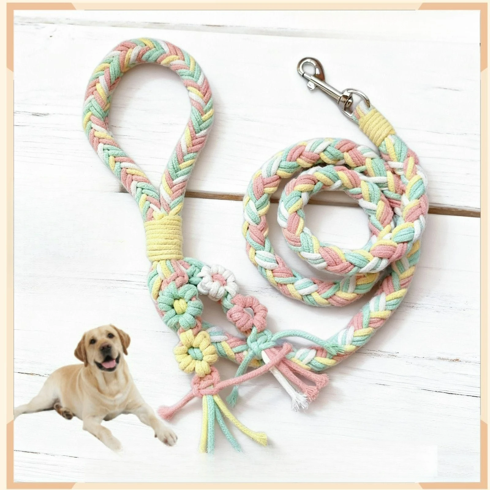 Rainbow Dog Collar Pet Puppy Walking Training Dog Collar with Metal Buckle for Large Medium Small Strap Belt Cotton Dogs Collar
Rainbow Dog Collar Pet Puppy Walking Training Dog Collar with Metal Buckle for Large Medium Small Strap Belt Cotton Dogs Collar