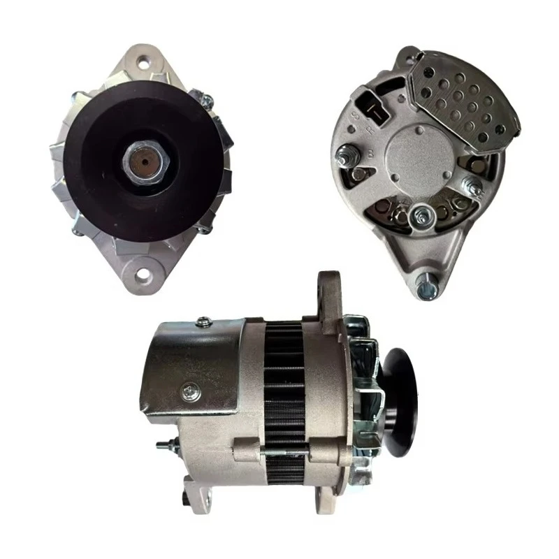 24V 20A Alternator for Komatsu Excavators FD45 6D95 4BT1T 6008213850 0330005510 LRA02455
24V 20A Alternator for Komatsu Excavators FD45 6D95 4BT1T 6008213850 0330005510 LRA02455