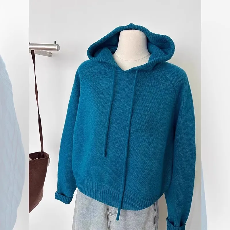 Blue Hooded Pullover Sweater For Women'S Autumn And Winter New Design, Casual And Loose Knit Sweater
Blue Hooded Pullover Sweater For Women'S Autumn And Winter New Design, Casual And Loose Knit Sweater