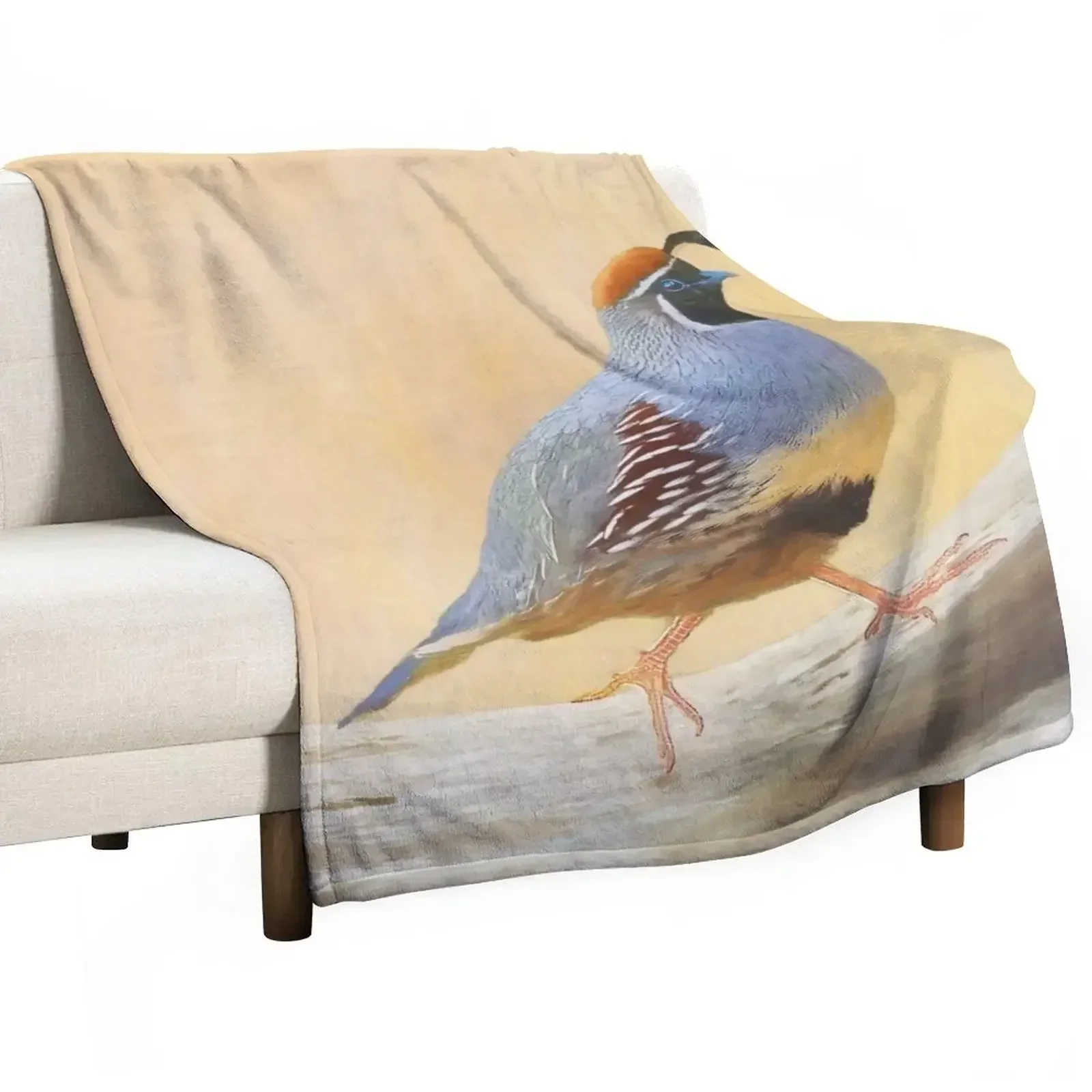Одеяло Gambrel's Quail, одеяла и одеяло, лохматое летнее постельное белье, одеяла
Одеяло Gambrel's Quail, одеяла и одеяло, лохматое летнее постельное белье, одеяла