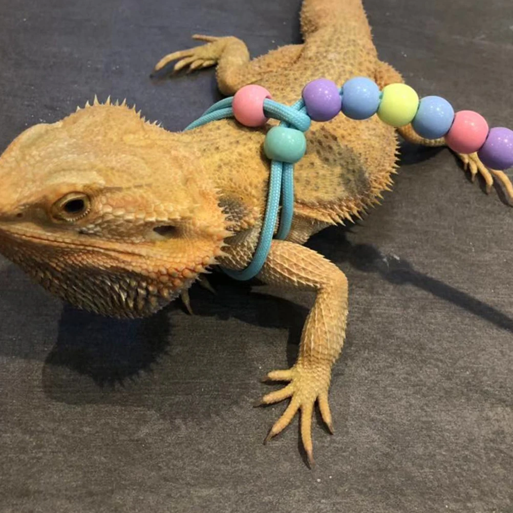 1pc Lizard Harness Leash Sturdy Reptiles Plastic Rope Bright Color Small Pet Hauling Cable Walking Lizard Traction Rope
1pc Lizard Harness Leash Sturdy Reptiles Plastic Rope Bright Color Small Pet Hauling Cable Walking Lizard Traction Rope