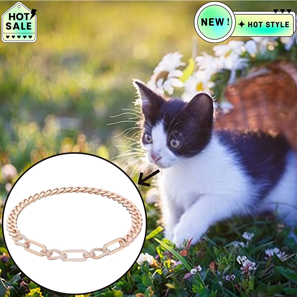 Cat Accessories 2025 Hot Selling Brand Ariana Grande Same Style Necklace Women's Luxury Jewelry Suitable for Gift Giving
Cat Accessories 2025 Hot Selling Brand Ariana Grande Same Style Necklace Women's Luxury Jewelry Suitable for Gift Giving