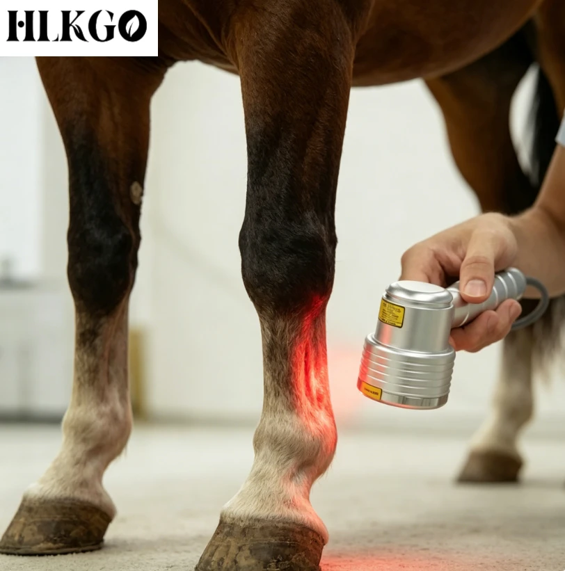 HLKGO Medical Class II Laser Therapy Device | Dual Probe (808nm + 4x808nm/650nm) for Deep Pain Relief | Human & Pet Use
HLKGO Medical Class II Laser Therapy Device | Dual Probe (808nm + 4x808nm/650nm) for Deep Pain Relief | Human & Pet Use