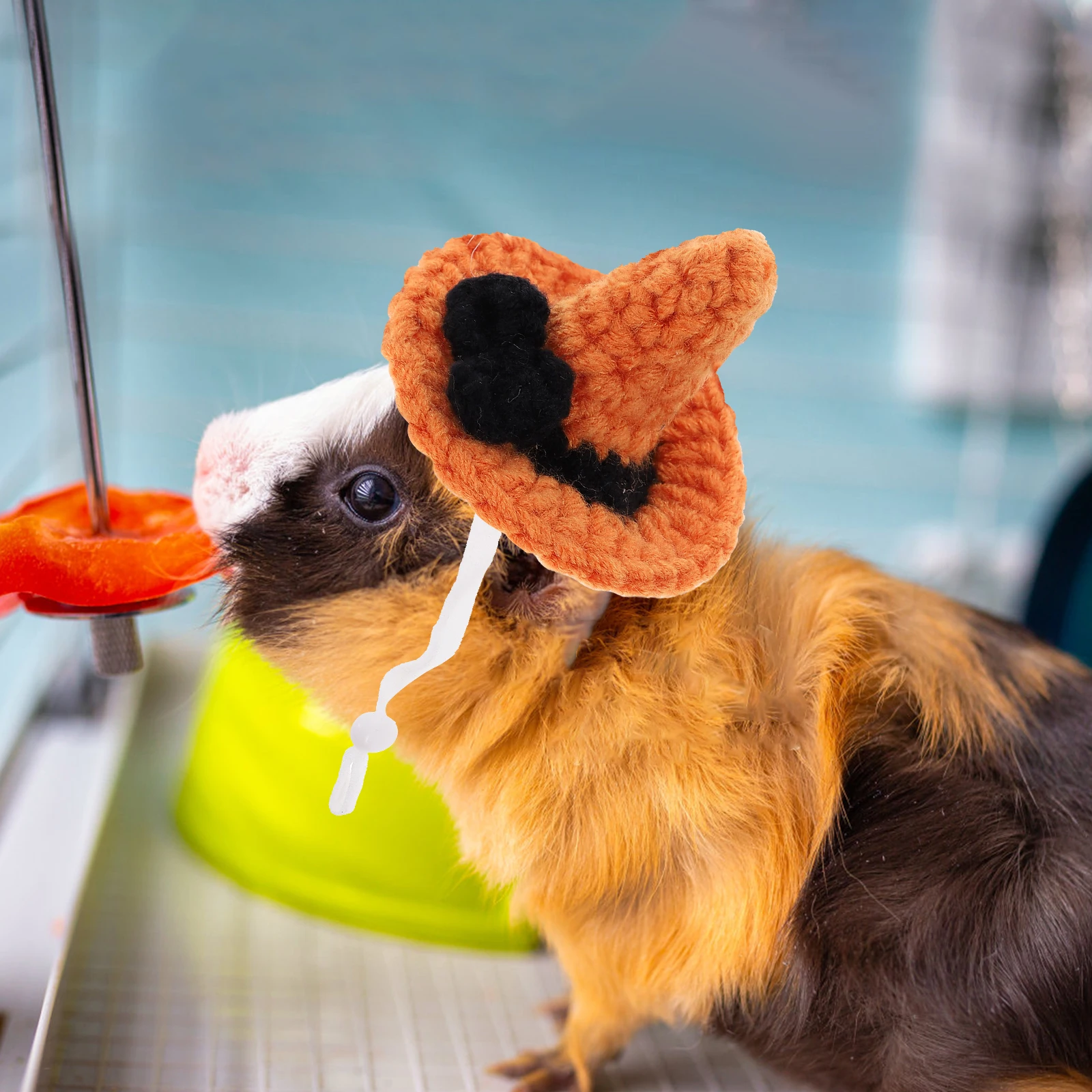 Hat for Small Pets Knitted Halloween Cap Hamster Costume Party Guinea Pig Fashion Accessory Reusable Lightweight Pet
Hat for Small Pets Knitted Halloween Cap Hamster Costume Party Guinea Pig Fashion Accessory Reusable Lightweight Pet
