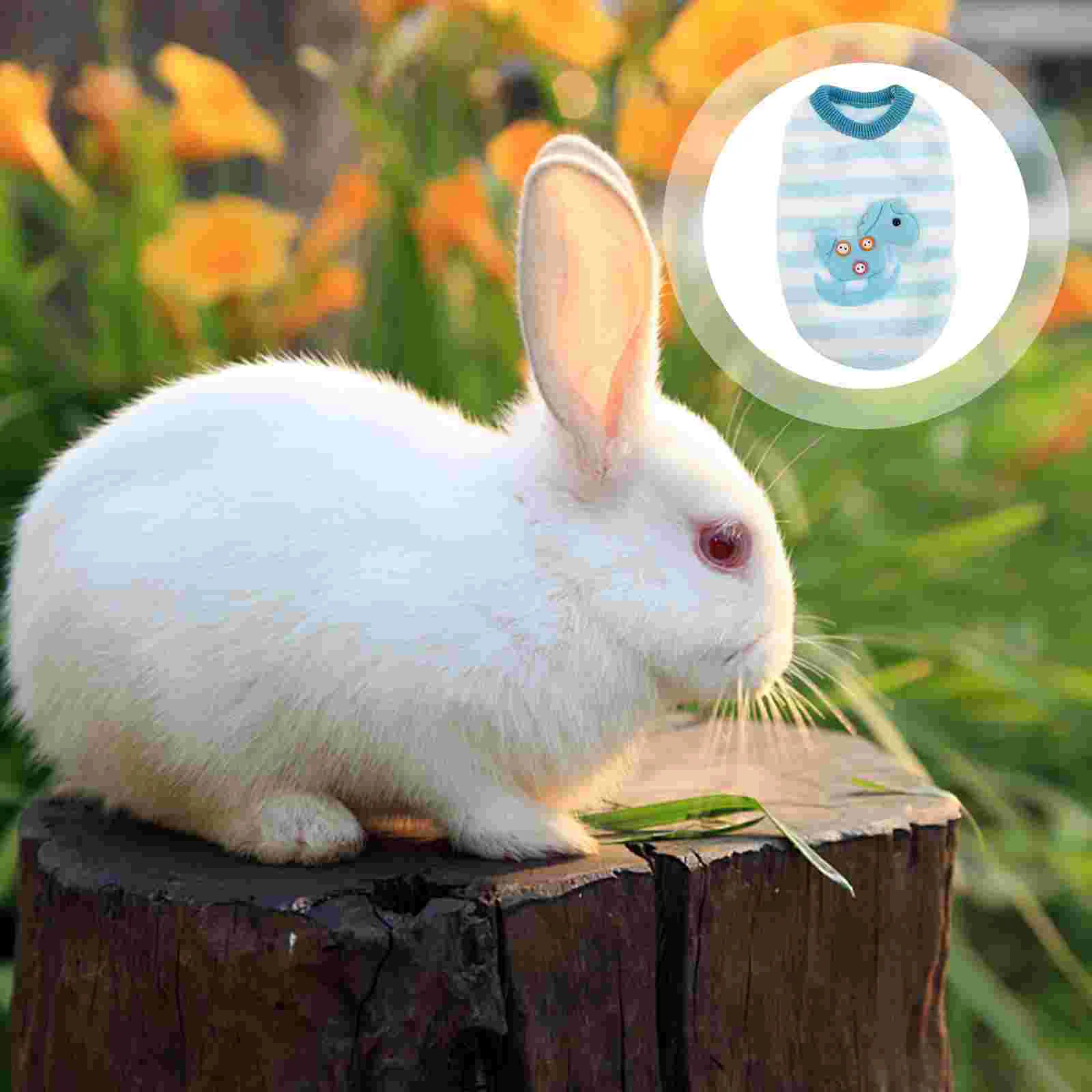 Bunny Vest Rabbit Decoration Clothes Fleece Jacket Clothing Pet Adorable Rabbits Waistcoat Small Animals Outfit Harness
Bunny Vest Rabbit Decoration Clothes Fleece Jacket Clothing Pet Adorable Rabbits Waistcoat Small Animals Outfit Harness