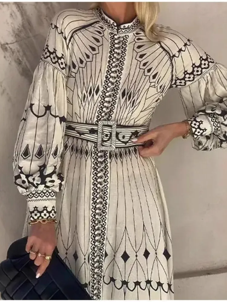 Vintage Printed Long Dress New Court Style Elegant Long Sleeved Big Swing Spring Single Breasted Women's A-line Dress
Vintage Printed Long Dress New Court Style Elegant Long Sleeved Big Swing Spring Single Breasted Women's A-line Dress
