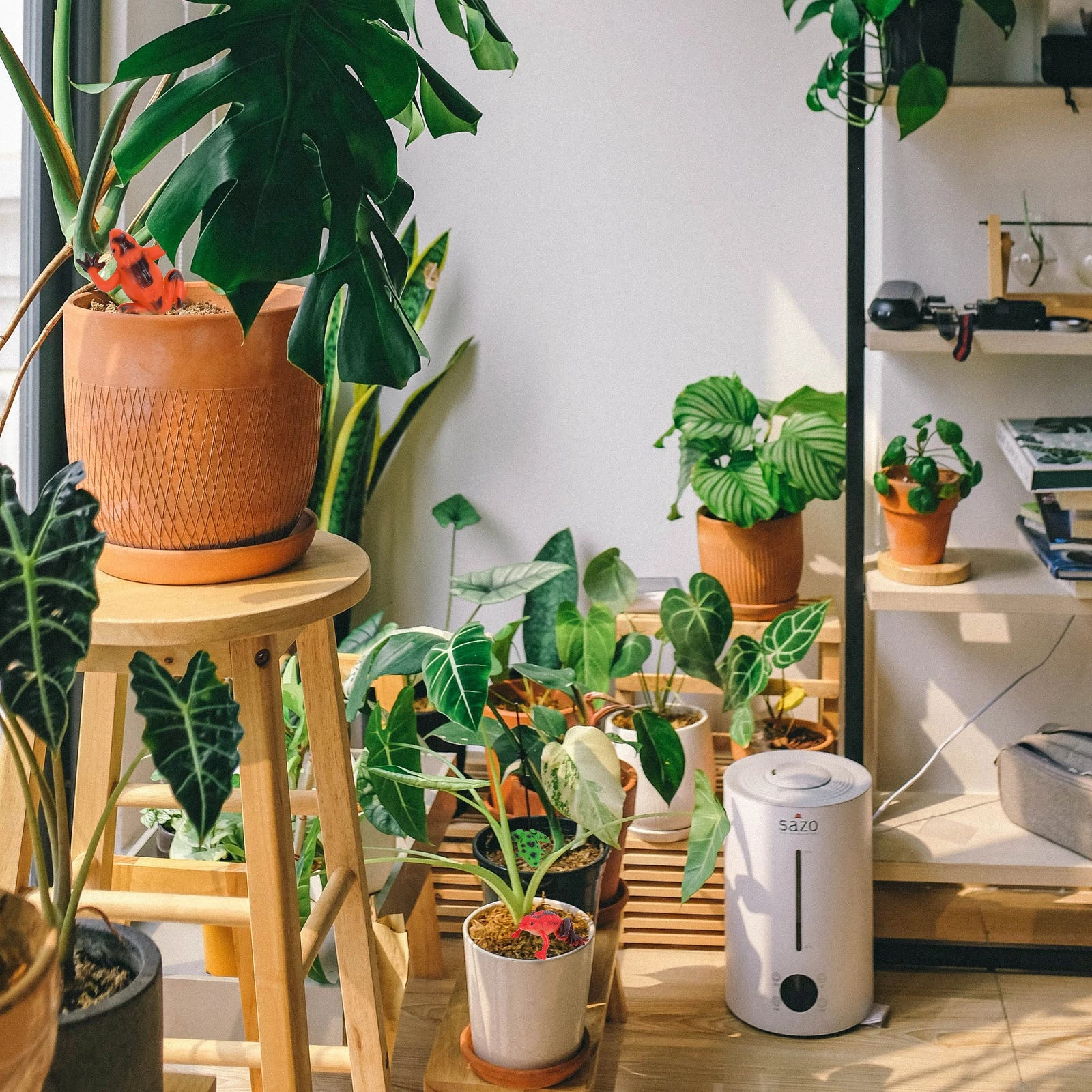 12Pcs Frogs Statue Cute Amphibian Figures Ideal for Garden Theme Decor Indoor Shelf Display Vivid Ornament Frogs Statues
12Pcs Frogs Statue Cute Amphibian Figures Ideal for Garden Theme Decor Indoor Shelf Display Vivid Ornament Frogs Statues