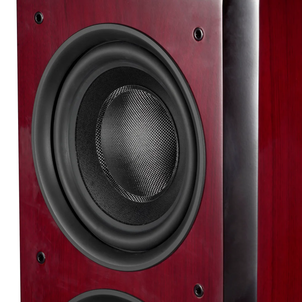 AVplay M10-BF 5TH Max Three-way Double 10 inch Woofer HiFi Loudspeaker Mid-woofer 6.5''Sensitivity 88dB Great Strong Woofer 4ohm
AVplay M10-BF 5TH Max Three-way Double 10 inch Woofer HiFi Loudspeaker Mid-woofer 6.5''Sensitivity 88dB Great Strong Woofer 4ohm