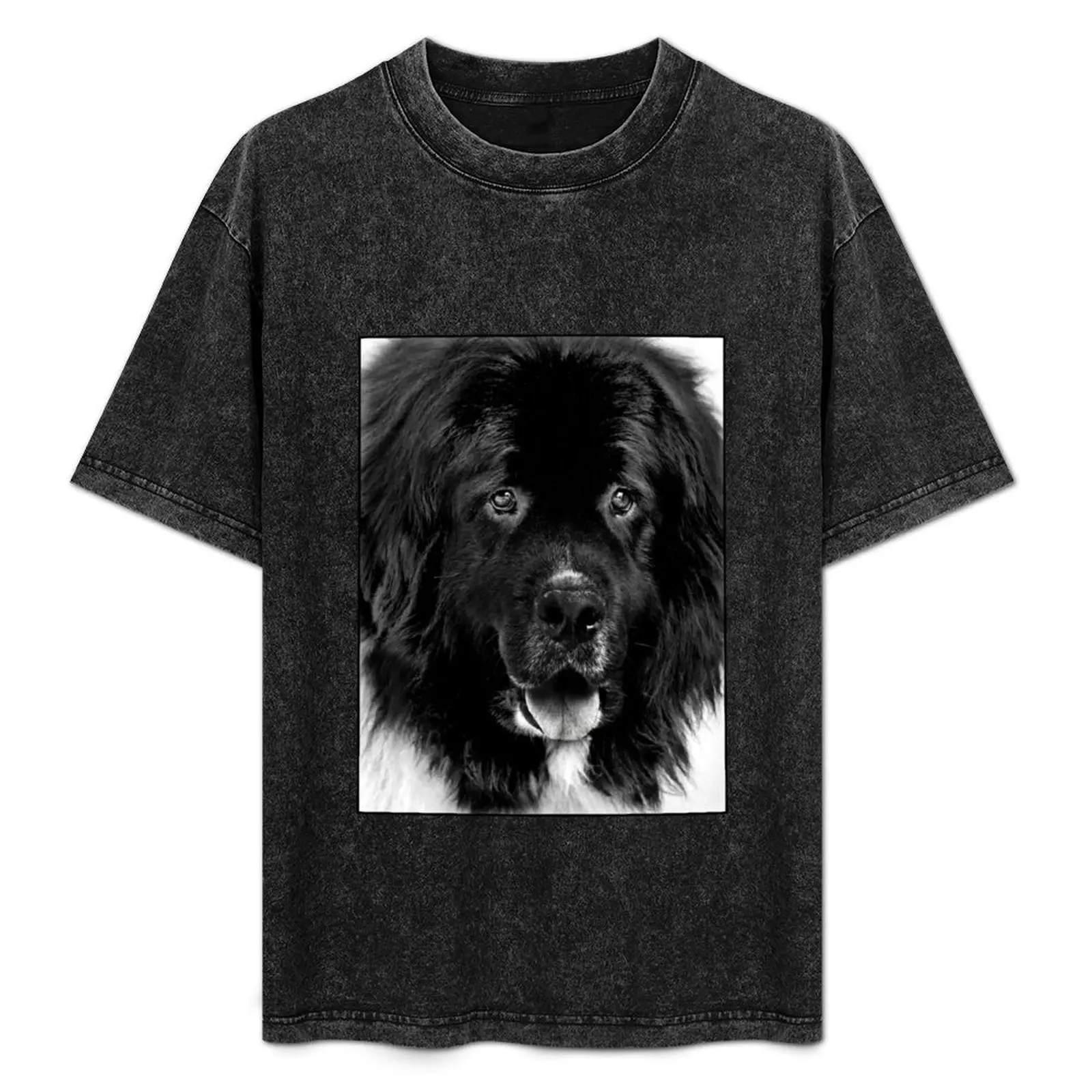 Newfoundland Dog Portrait in Black and White T-Shirt football t shirt tees plain white t shirts men
Newfoundland Dog Portrait in Black and White T-Shirt football t shirt tees plain white t shirts men