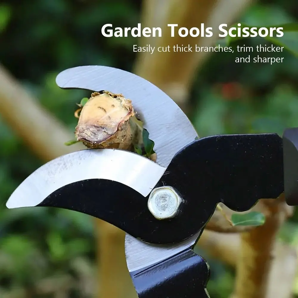 Long Handle Pruning Shear Labor-saving Efficient Portable Pruner Multi-functional Durable Coarse Branch Cutter Bonsai
Long Handle Pruning Shear Labor-saving Efficient Portable Pruner Multi-functional Durable Coarse Branch Cutter Bonsai