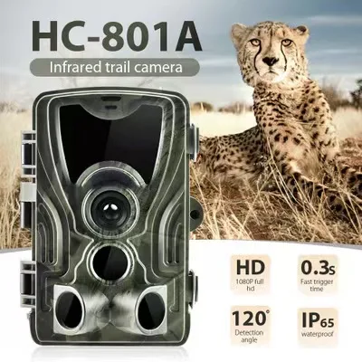 HC801A SUNTEK Hunting Camera Fototrampeo Wildlife Camera 1080P Night Vision Waterproof SurveillanceOutdoor Sports Accessories
HC801A SUNTEK Hunting Camera Fototrampeo Wildlife Camera 1080P Night Vision Waterproof SurveillanceOutdoor Sports Accessories