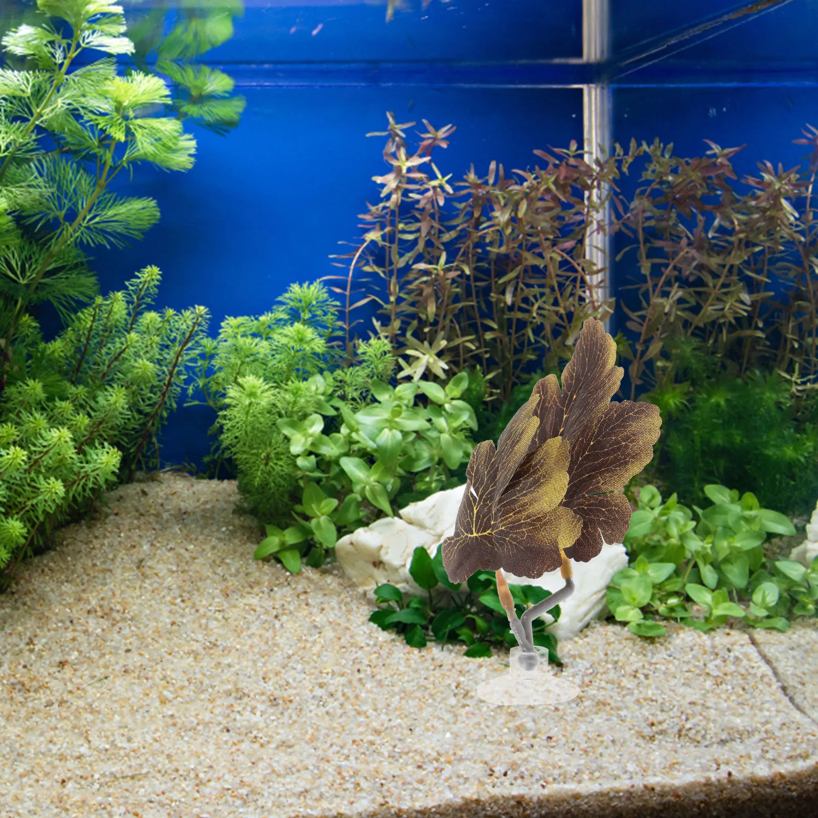 Simulation Aquarium Leaves Betta Fish Resting Leaf Bed Suction Cup For Fish Tank Decor Artificial Aquatic Plants
Simulation Aquarium Leaves Betta Fish Resting Leaf Bed Suction Cup For Fish Tank Decor Artificial Aquatic Plants