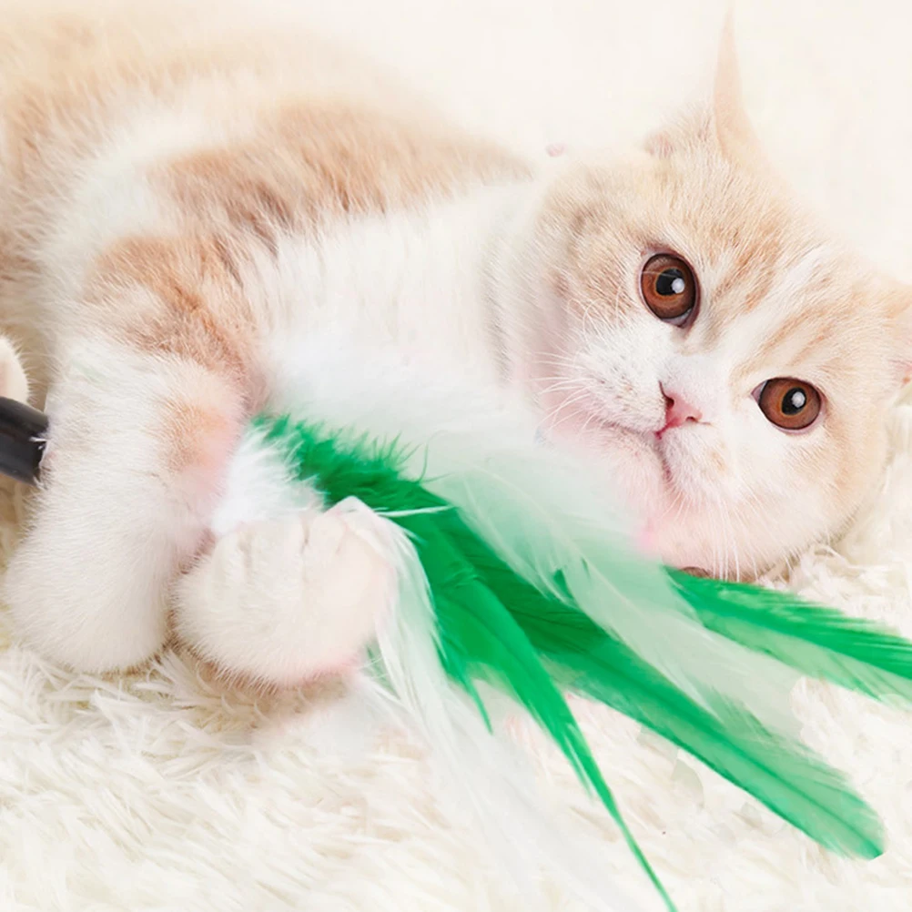Teaser Durable Lightweight Cat Teasing Stick Long Lasting Entertaining For Cats Pet Cat Teaser Supplies
Teaser Durable Lightweight Cat Teasing Stick Long Lasting Entertaining For Cats Pet Cat Teaser Supplies