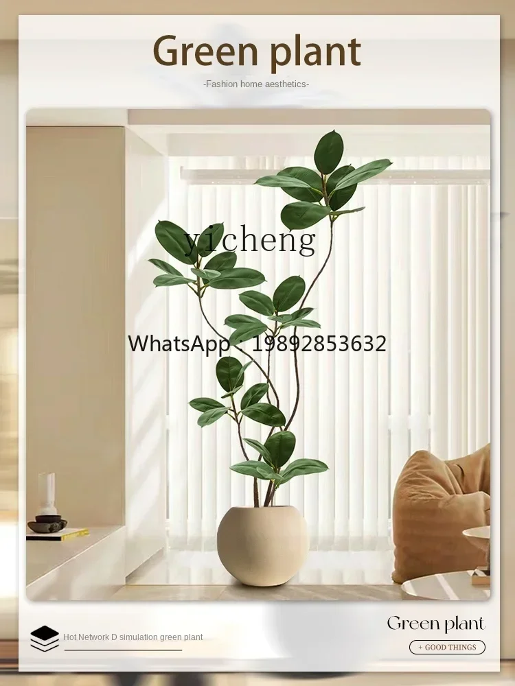 FZ Rubber Tree Artificial Green Plant Artificial Flower Decorative Tree Indoor Large Potted Plant Floor Ornaments
FZ Rubber Tree Artificial Green Plant Artificial Flower Decorative Tree Indoor Large Potted Plant Floor Ornaments