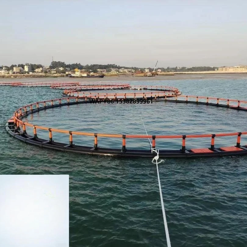 HDPE Seawater Aquaculture Trap Pipe Fittings Bracket Pontoon Fish Net Cage High Quality High Strength for Tilapia Fish Farming
HDPE Seawater Aquaculture Trap Pipe Fittings Bracket Pontoon Fish Net Cage High Quality High Strength for Tilapia Fish Farming