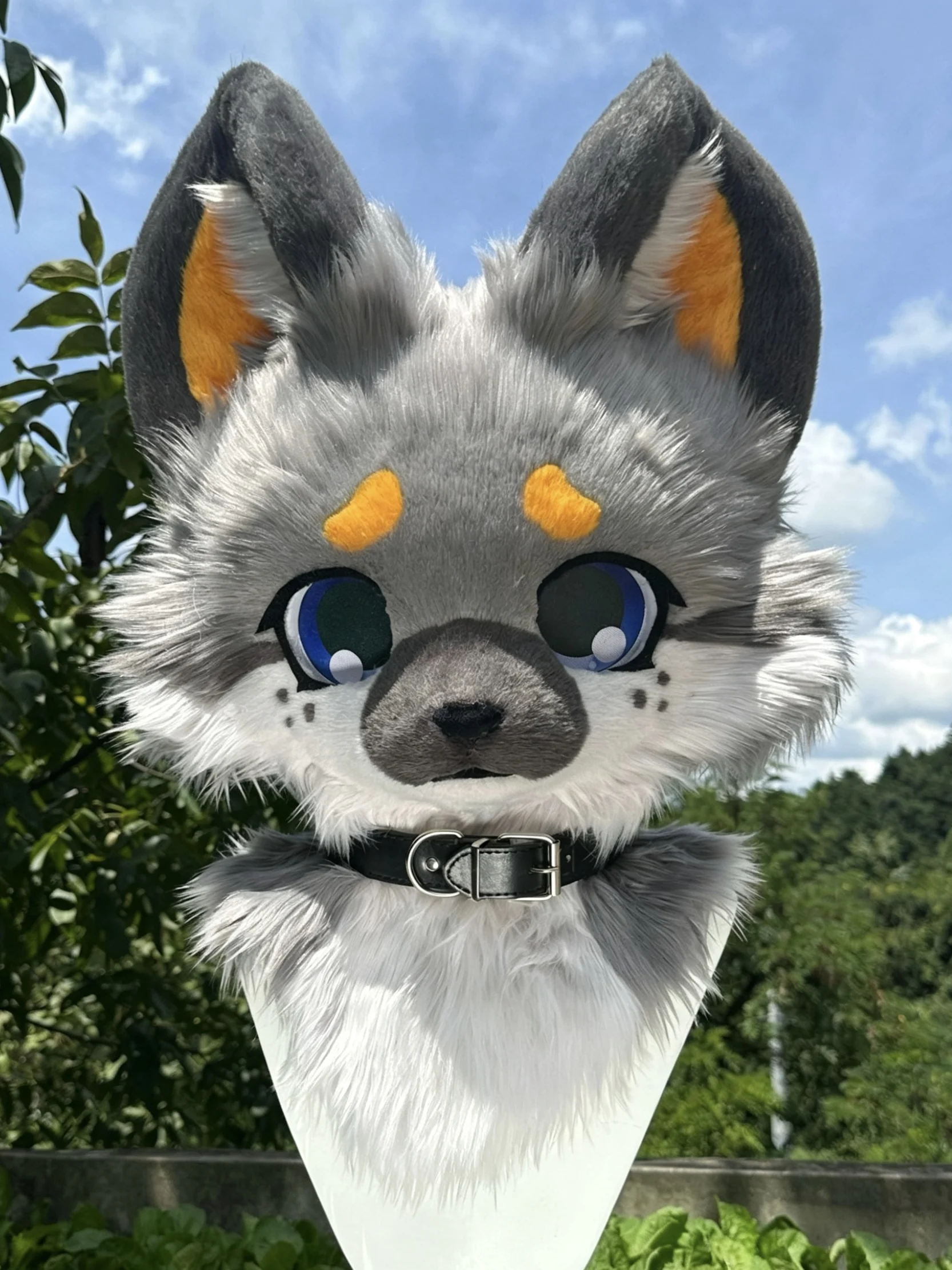Long fur coat with Halloween husky beast head. Role-playing fox. Mascot. Role-playing. Disguise.
Long fur coat with Halloween husky beast head. Role-playing fox. Mascot. Role-playing. Disguise.