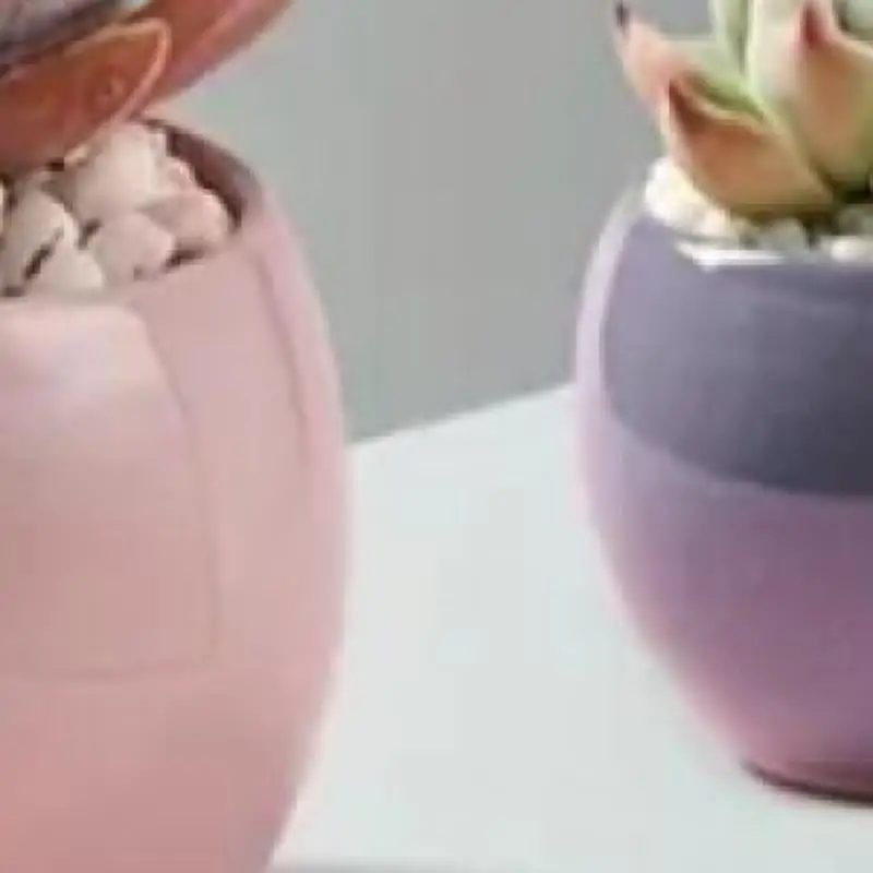 3-in-1 Cordless Vacuum for Car & Pet Hair, Strong Suction, USB Rechargeable, Compact, Long Battery, Includes Accessories. 
3-in-1 Cordless Vacuum for Car & Pet Hair, Strong Suction, USB Rechargeable, Compact, Long Battery, Includes Accessories.