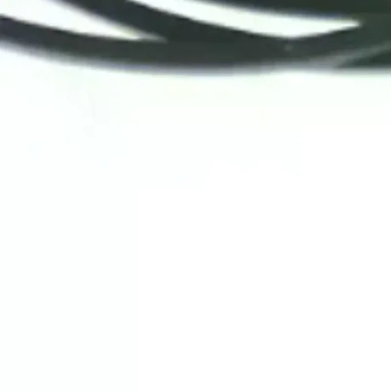 40pcs/set Small Fine Pulley Pully Belt Engine Drive Belts For DIY Toys Module Car
40pcs/set Small Fine Pulley Pully Belt Engine Drive Belts For DIY Toys Module Car