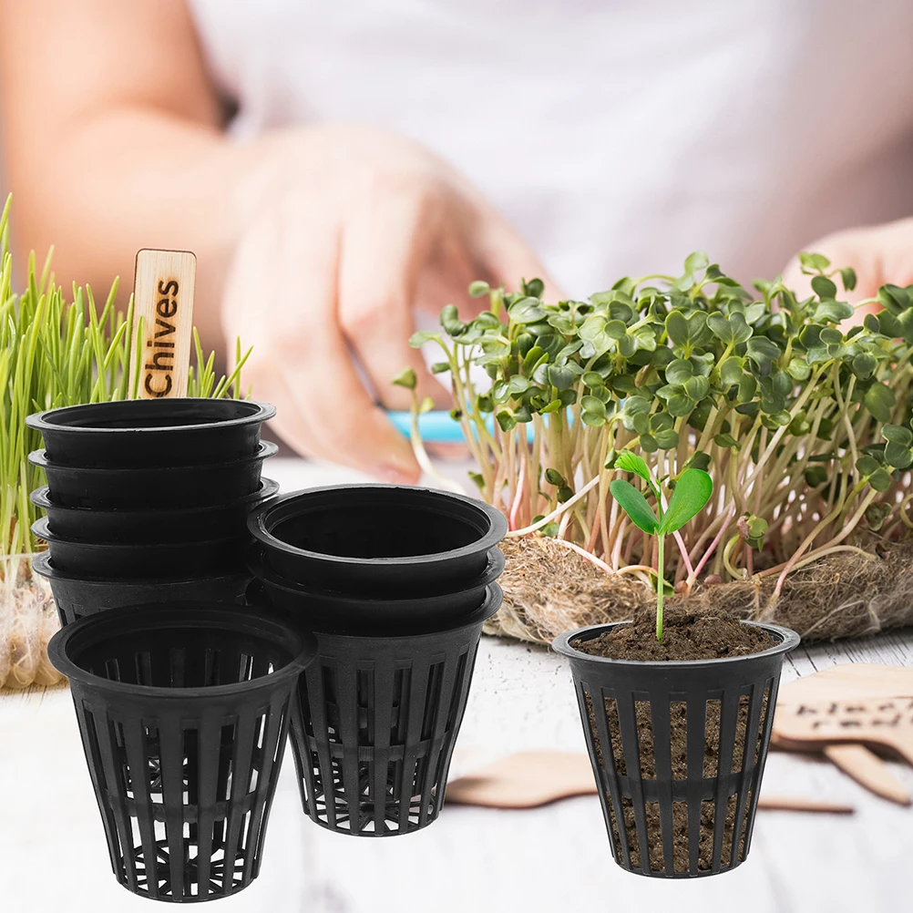 100pcs Hydroponic Planting Baskets Fixed Mesh Cups for Nursery Indoor Plants Plastic Pots Garden Flower Cultivation
100pcs Hydroponic Planting Baskets Fixed Mesh Cups for Nursery Indoor Plants Plastic Pots Garden Flower Cultivation
