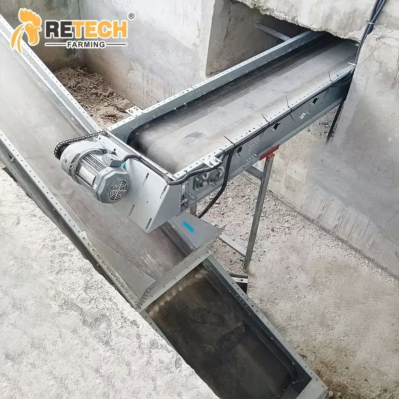 Hot Dip Galvanized Steel Automatic Layer Battery Cage with Manure Removal System for Poultry Farming Long Service Life
Hot Dip Galvanized Steel Automatic Layer Battery Cage with Manure Removal System for Poultry Farming Long Service Life