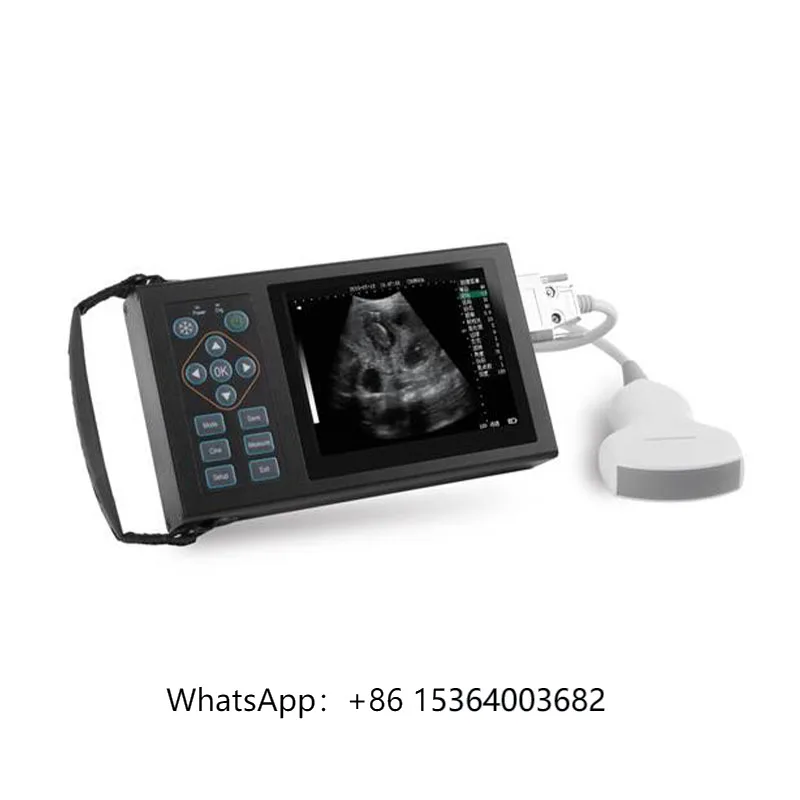 A10 Hot Selling Black and White Fully Digital Ultrasonic Diagnostic Waterproof Instrument for Cattle Sheep Pigs Horses Cats Dogs
A10 Hot Selling Black and White Fully Digital Ultrasonic Diagnostic Waterproof Instrument for Cattle Sheep Pigs Horses Cats Dogs