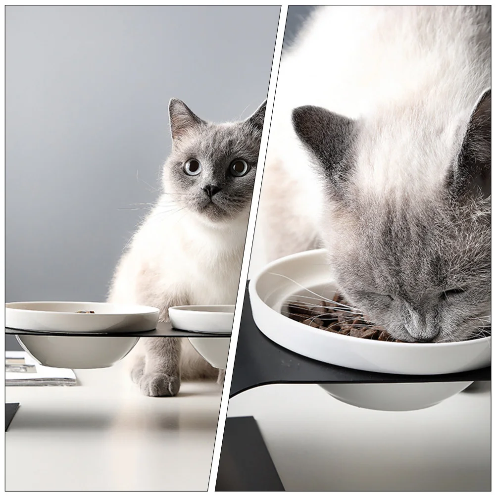 1Pcs Heightened Pet Feeding Bowl Ceramic Cat Double Bowl Iron Bracket Sturdy Elevated Pet Food Water Feeder Black White
1Pcs Heightened Pet Feeding Bowl Ceramic Cat Double Bowl Iron Bracket Sturdy Elevated Pet Food Water Feeder Black White