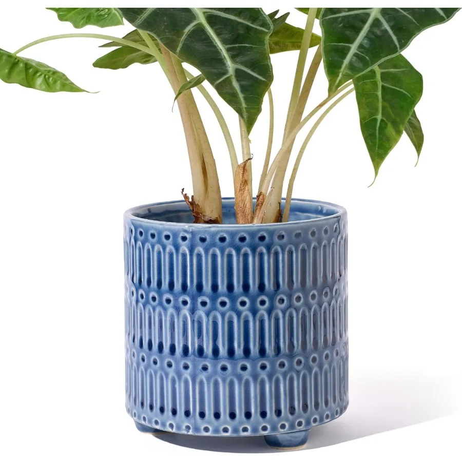 5 Inch Ceramic Planters for Indoor Plants Blue Cactus Snake Plant Pots with Drainage Unique Design Round Flower Pot for Home Dr
5 Inch Ceramic Planters for Indoor Plants Blue Cactus Snake Plant Pots with Drainage Unique Design Round Flower Pot for Home Dr