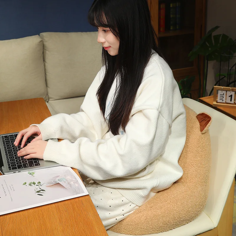 40*50cm Cartoon Animal Lumbar Support Cushion Soft High-Quality Full-Filled Seat Pad with Non-Slip Bottom for Sofa & Bed
40*50cm Cartoon Animal Lumbar Support Cushion Soft High-Quality Full-Filled Seat Pad with Non-Slip Bottom for Sofa & Bed