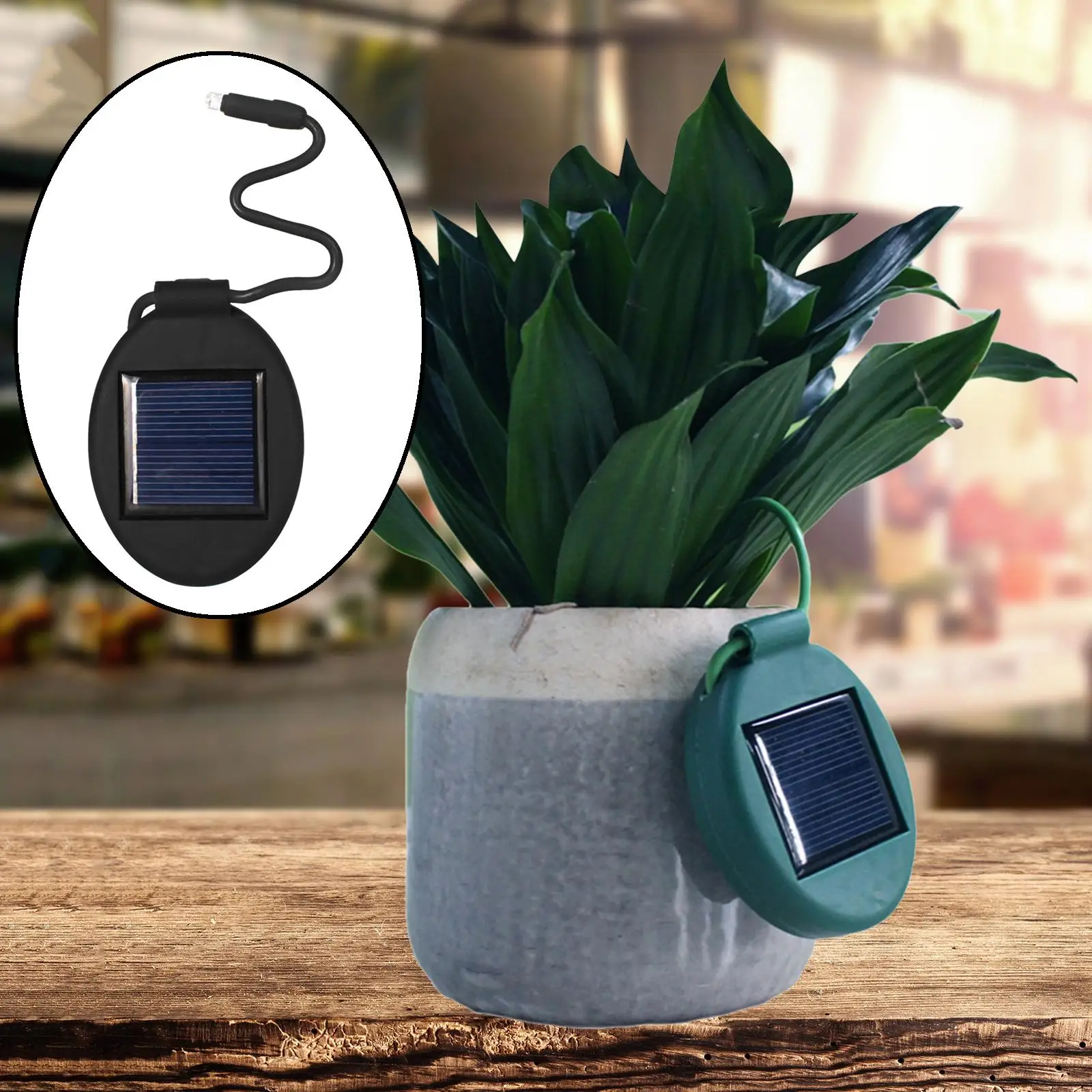 meriglare LED Solar Powered Light Outdoor Waterproof Flower Pot Lights Garden 
meriglare LED Solar Powered Light Outdoor Waterproof Flower Pot Lights Garden