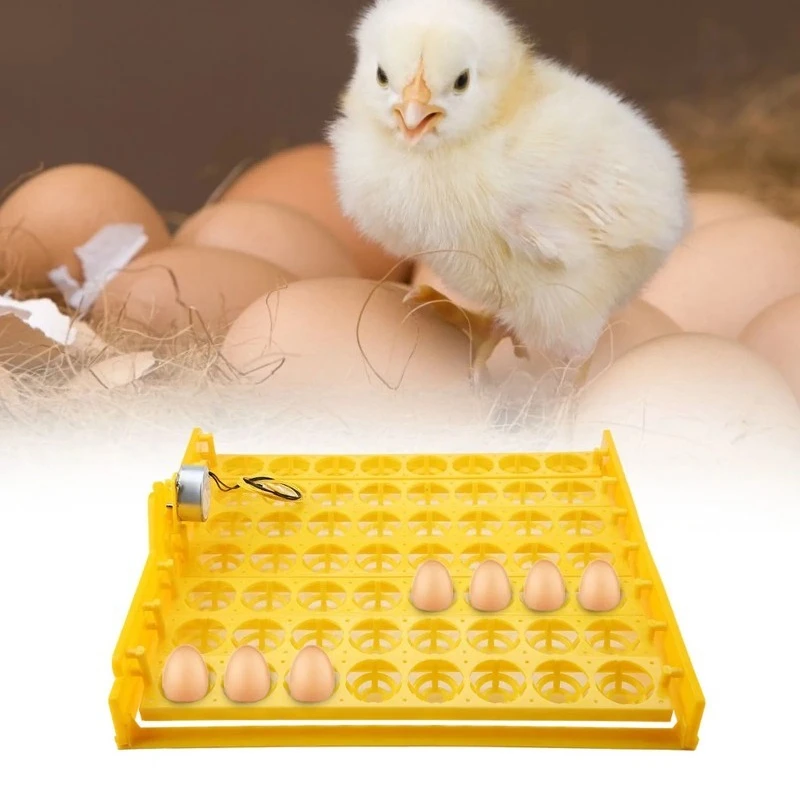 56 Eggs Mini Incubator Hatcher Automatic Egg Turning Tray Tool with Motor Automatic Eggs Hatcher Egg Incubator Tool Eggs Hatcher
