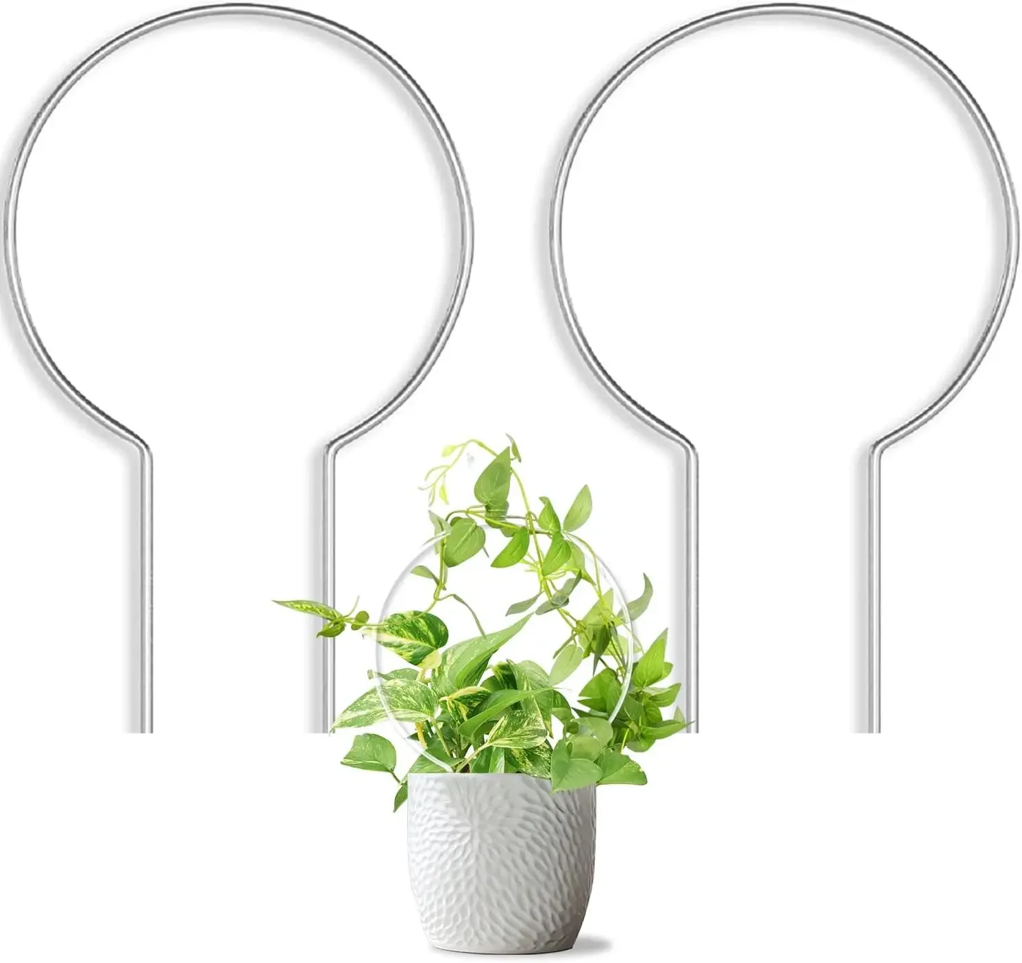 Indoor and outdoor pot round plant grid, small acrylic grid for climbing plants, plant support for ivy monster flowers
Indoor and outdoor pot round plant grid, small acrylic grid for climbing plants, plant support for ivy monster flowers